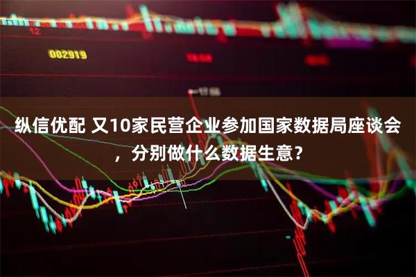 纵信优配 又10家民营企业参加国家数据局座谈会，分别做什么数据生意？