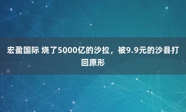 宏盈国际 烧了5000亿的沙拉，被9.9元的沙县打回原形