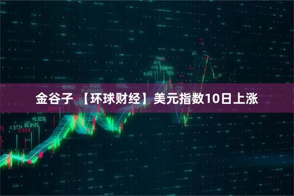 金谷子 【环球财经】美元指数10日上涨